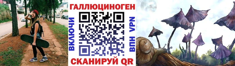 Псилоцибиновые грибы GOLDEN TEACHER  Купить закладки  Пермь 